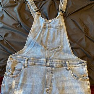 Anthropologie Pilcro and the Letterpress Denim Overalls